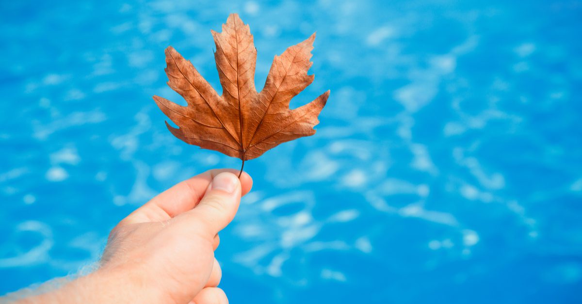 Is the Fall a Good Time to Build A Pool?